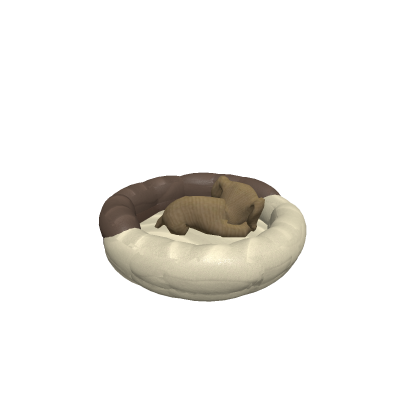 Sleeping Dog in a Dog Bed