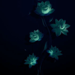 ★