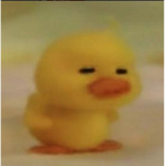 뉴비들의 클랜