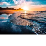 BigWaves for Life
