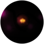 Darkest Spawn