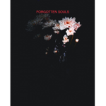 Forgotten~Souls
