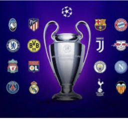 Official Champions League Pitch