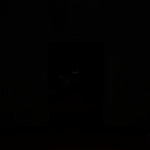 Midnight Horror House