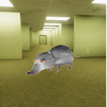 •CULT OF RAT•