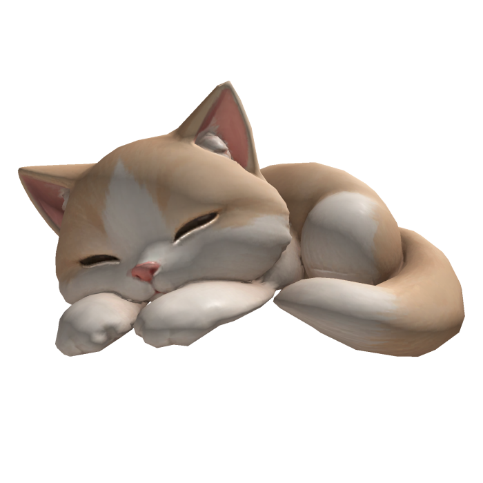 Cute Sleeping Kitten on Head