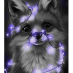 The Cutiest foxies
