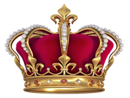 Sly royale Roblox group icon