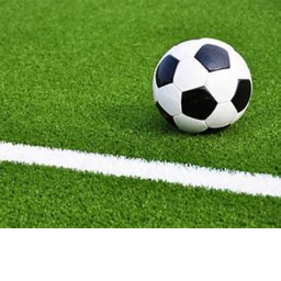SOCCER GAME