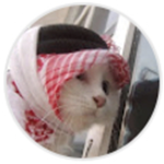 بدر احمد