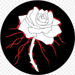 The black rosé