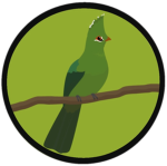 Turaco Studios