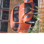 Red 27