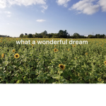 Project Summerflower