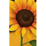 Sunflowerboy