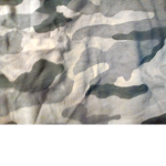 The roblox army dan