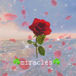 Miracles VibeStore! <3