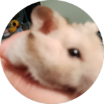hamster creations wowies