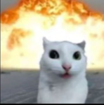 Unserious Quiz Group Thumbnail