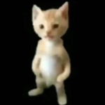 The OFFICIAL Michael The Cat Fan Club