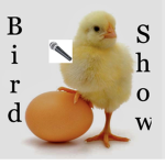 Bird show