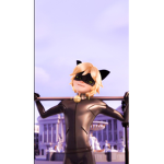 MIRACULOUS CAT NOIR FANS