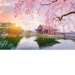 The magical land of Korea