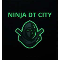Ninja DT city