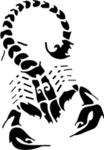 Order of the King Scorpion Air Force