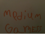 MEDIUM Gamess