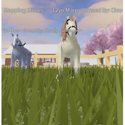 Falling Feathers Equestrian