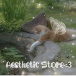 Aesthetic Store<3