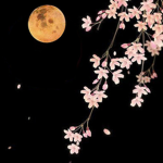moonliqht