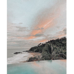 - palm beach -