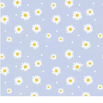 lol.xxflower