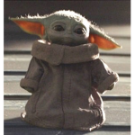 The Baby Yoda Association