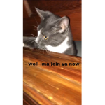 Sydandtwixfart
