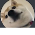 Doge Brothers!