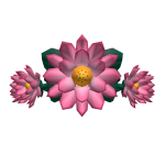 Pink Lotus Tiara