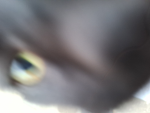 Hi luana