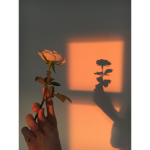 • étoile •