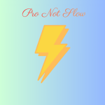 PRO NOT SLOW