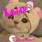 PeaceW