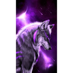 galaxy wolf team.nl