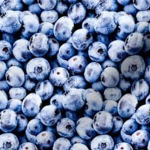 Blueberries Gymnastics