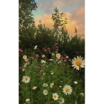 Flowersbabys