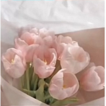 Diorsprinkels