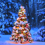 Christmas Games Corp!