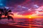 -The Sunsets!-