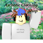 --Aesthetic clothes store--